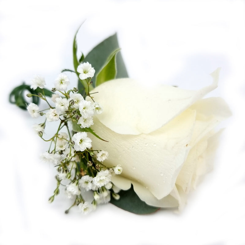 Wedding buttonhole flower Aspen Flora Sutton Flowers Birmingham Florist