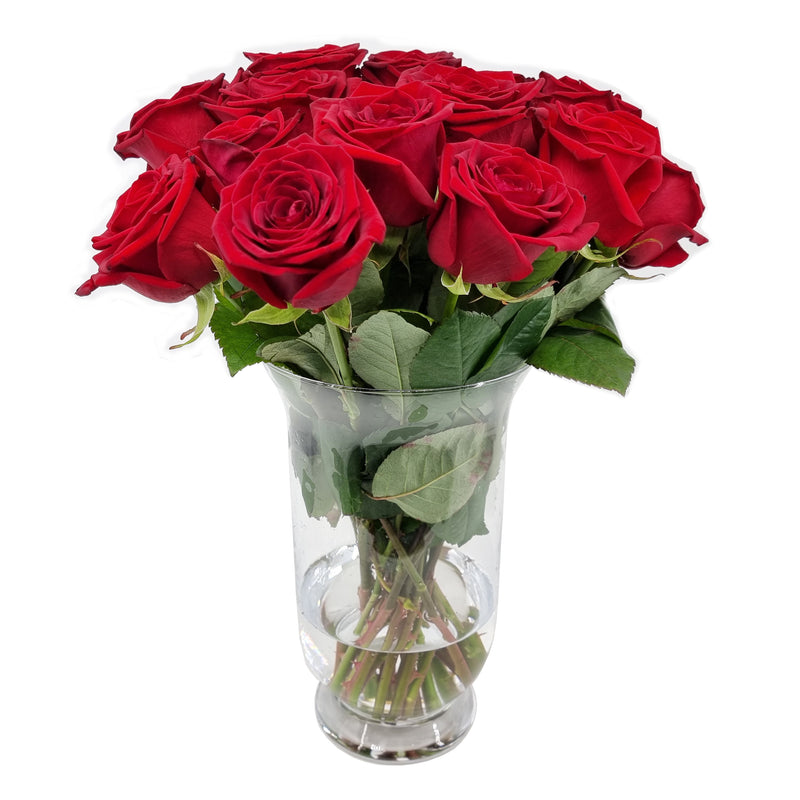 Aspen Flora at Sutton Flowers Birmingham, UK, Nationawide Florist online same day next day deliveries bouquets birthdays gifts flowers lilies roses valentine’s day sunflower, chrysanthemum, Gerbera, Sweet William, Foliage flowers, Agapanthus, Freesia, Statice